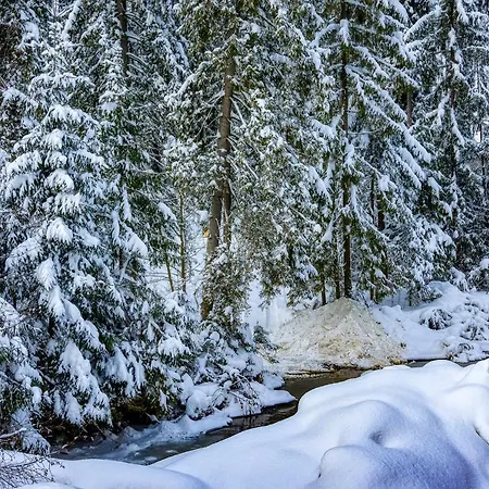 Tarasówka * Ciche Małe
