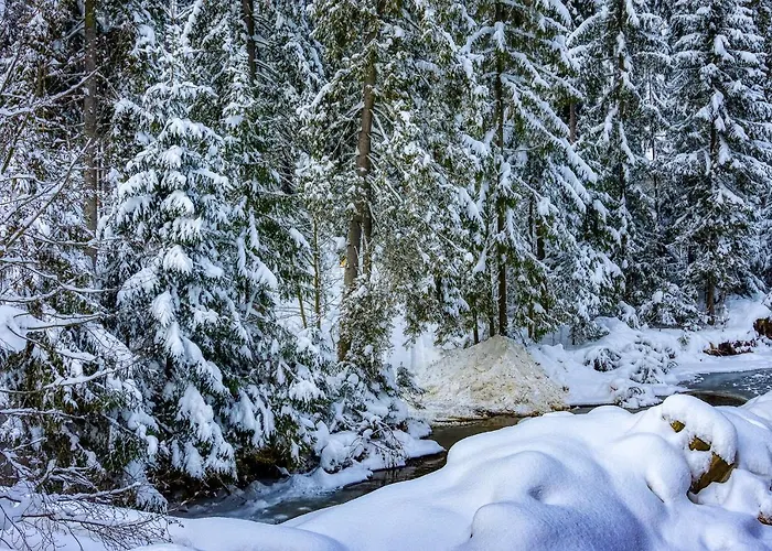 Tarasówka * Małe Ciche