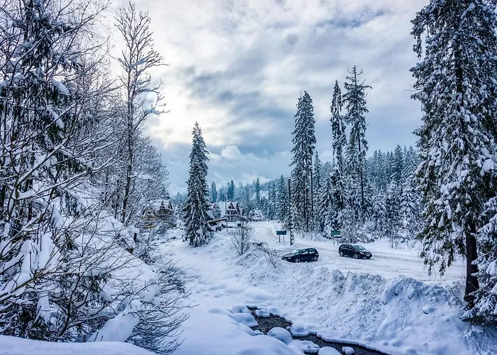 Tarasówka Małe Ciche